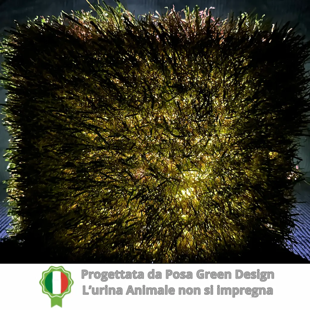 Campione di erba sintetica modello Hollywood Eco Design 48, ideale per cani di grossa taglia grazie alla sua elevata traspirabilità e drenaggio rapido.